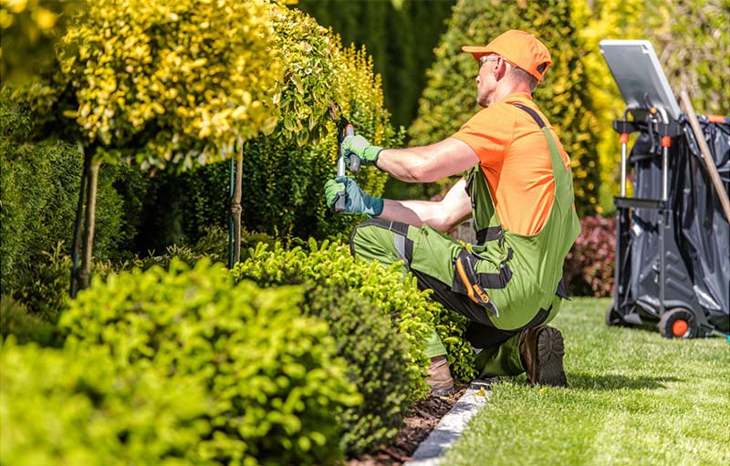 landscaping services in alexandria