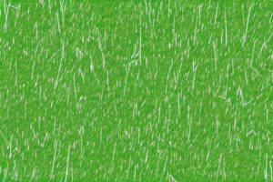 A lawn with visible thatch buildup
