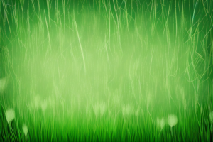 A grassy field with blades of grass in various stages of growth