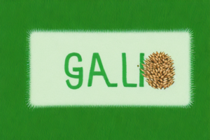 A patch of grass with a hand holding a packet of grass seed
